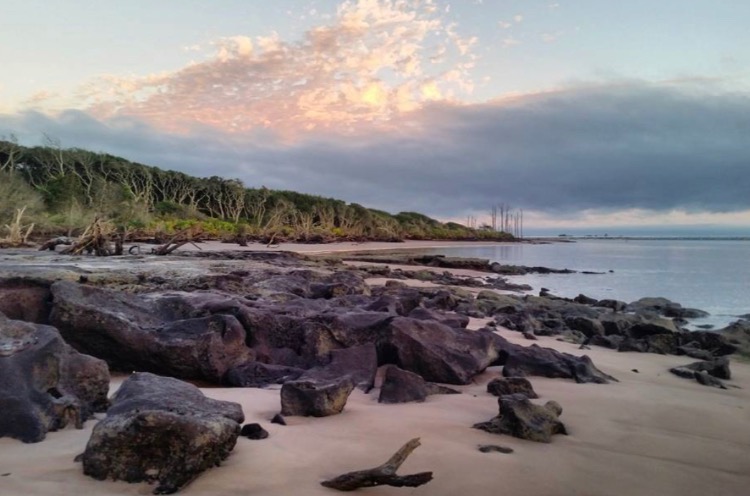 Explore Black Rock Beach at Big Talbot Island State Park