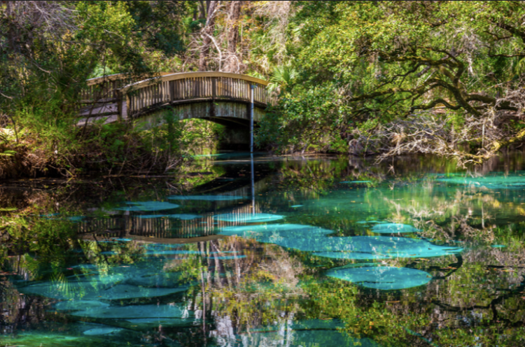 Juniper Springs — Adventure Ocala